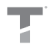 Trinda T Logo